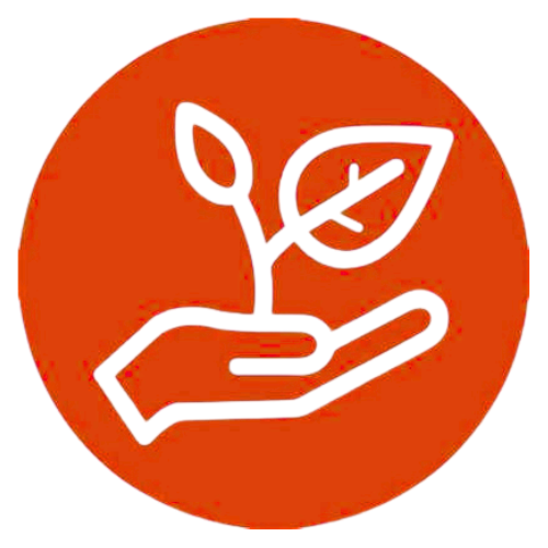 AI-Enabled Soil Diagnostics - Basalinitiatives